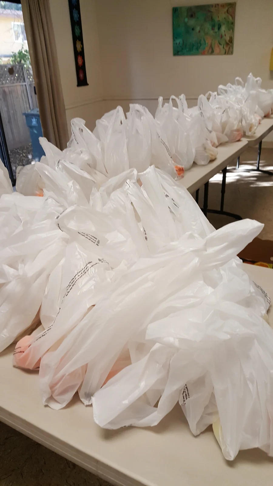 Bagged items arranged on a table.